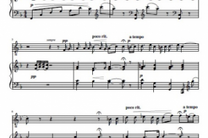 Маргарита (песни на слова В. Крага)