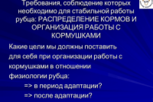 Перевод презентации для откормочной площадки КРС