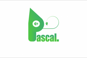Pascal logo