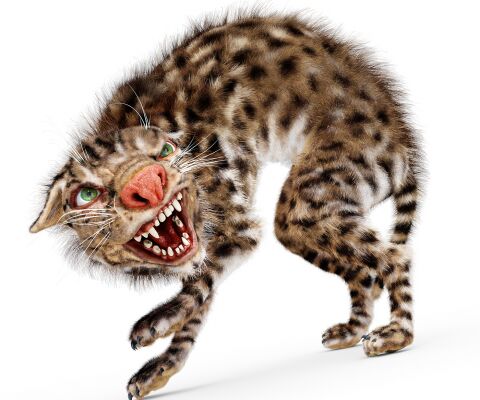 img3492521.png