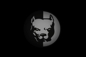 Презентация Питбуля