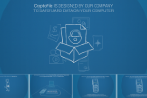 Infographics for security company (Cryptofile)