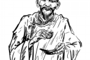 Работа 1096055