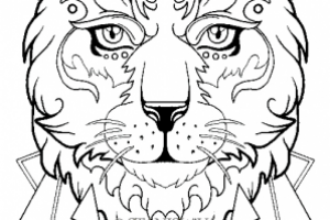 Работа 3428973