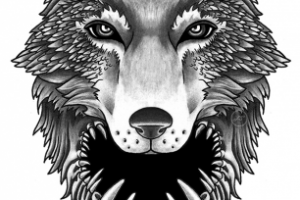 Работа 3428969