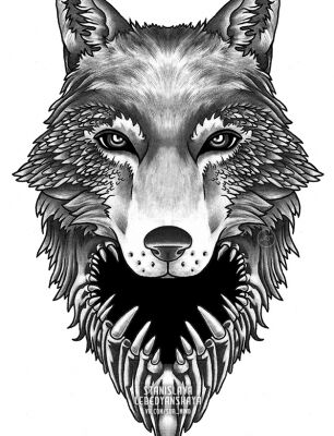img3428969.png