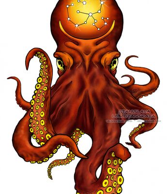 img3428968.png