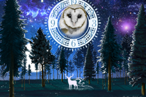 Работа 3428978