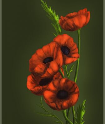 img4404899.png