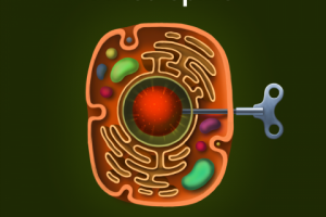 Обложка сингла Phrea Spirit "Cell Cycle"