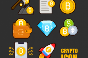 Crypto Coin Icon