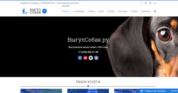 img3304463.png