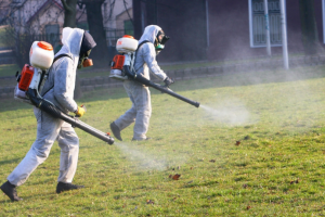 Услуги обработки от клещей в Сургуте