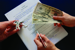 Как правильно и выгодно сдать квартиру в аренду?