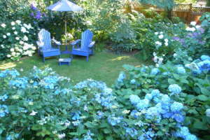 Синий сад моей любви