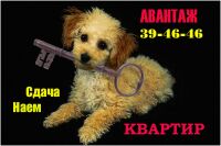 img2782216.png
