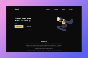 Портфолио с примерами работ