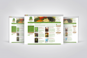 Дизайн сайта"Формула роста"