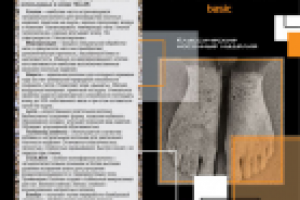 Работа 1732155