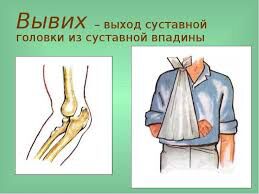 img3661656.png