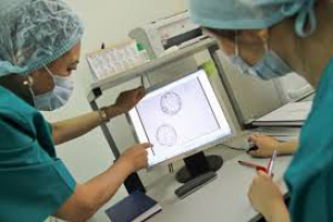 Биохимическая беременность