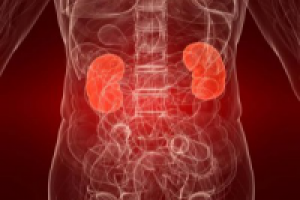 Лечение хронического нефрита