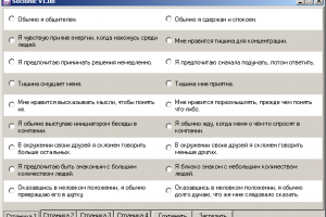 Интерфейс программы Socionic.exe