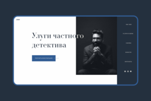 Частный детектив