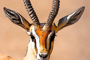 Книга-роман "Джейри"