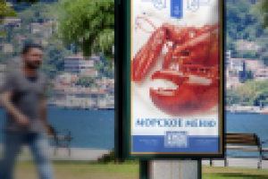 Ситилайтй для морского кафе