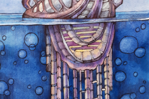 "Город-Физалия"