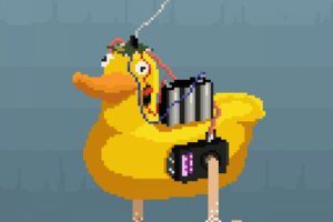 RC duck