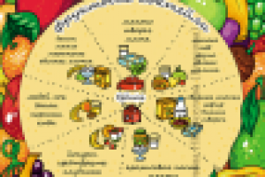 "Фруктовые коктейли"