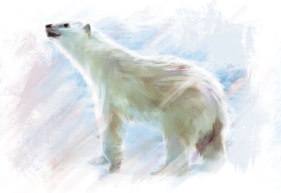 img3213306.png