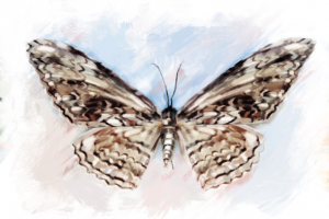 Иллюстрация для игры "Моя Планета"