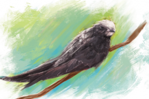 Иллюстрация для игры "Моя Планета"