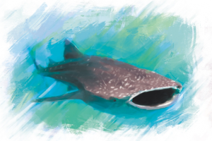 Иллюстрация для игры "Моя Планета"