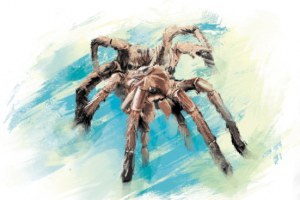 Иллюстрация для игры "Моя Планета"