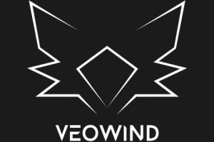 Собственный логотип