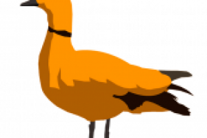 Отрисовка в векторе: Птицы