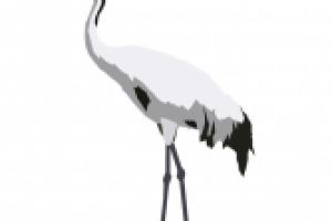 Отрисовка в векторе: Птицы