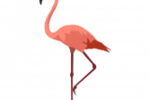 Отрисовка в векторе: Птицы