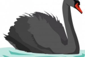 Отрисовка в векторе: Птицы