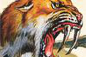 Диктор Кирилл Савельев