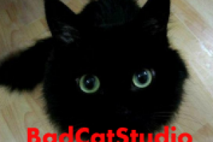 Диктор Макс Ли