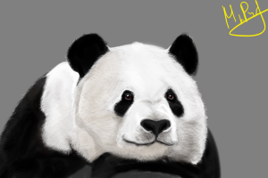 Панда