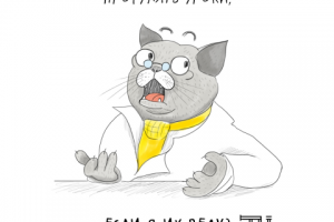 Удивленный кот