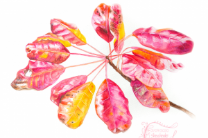 Акварель. Осенние листья