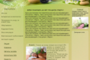 Сайт СПА центр Марго