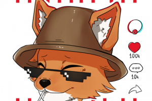 Серия аватарок для соц.сетей магазина: тикток